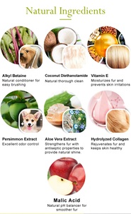 Persimmon extract shampoo 500ml (16oz) for extended odor control - Product Image 2