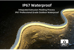 Bande néon bleu vif 12x12mm 24V 11W, haute luminosité, 120 LED/m pour éclairage décoratif de piscine et d'<span class=keywords><strong>aquarium</strong></span> sous-marins - Product Image 6