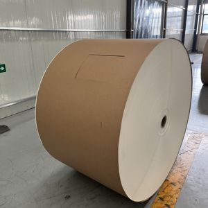 กระดาษเคลือบ PE กันน้ำสำหรับทำถ้วยกระดาษเกรดอาหาร - Product Image 6