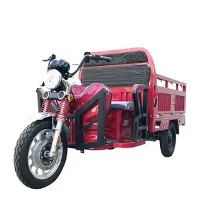 EEC Certificate Electric Tricycle Most Popular Electric Cargo Tricycle 1500 W Motor Electric Cargo Rickshaw with Heavy Loading