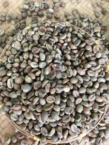 Vietnam Origin High Quality Green Coffee <b>Beans</b> Robusta Size 16 A 60kg A Plus 95 To 99% Purity Bulk <b>Bags</b> - Product Image 6
