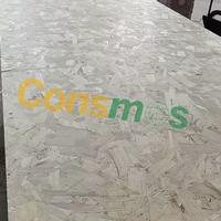 Panneaux OSB2 OSB3 en fibres orientées, épaisseur personnalisée 1220*2440MM, fournis directement par l'usine