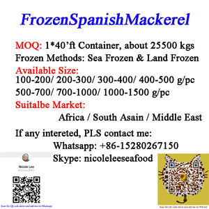 سمك الملك/سمك الماكريل الاسباني/سمك Seer - Product Image 6