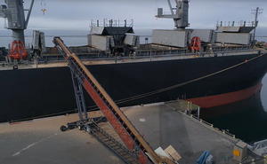 Bộ nạp tàu di động-Máy xếp than-Máy xếp muối-máy xúc tàu đậu tương - Product Image 3