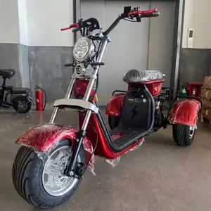 2023 Hot EEC Elektrik Chopper Xe Tay Ga Xe Máy Điện 1000W Khung Xe Đạp Điện 60Velectric