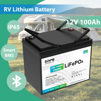 Batterie LiFePO4 12,8V 12V 100Ah, module de stockage portable à cycle profond avec étanchéité IP65 et Bluetooth