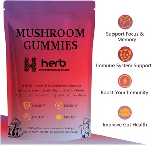 OEM ODM Organic Mushroom <b>Gummy</b> Lion's Mane and Chaga Blend for Focus & Immunity Support - Product Image 3