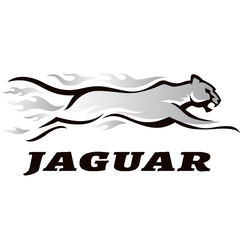 Dongguan Jaguar Garment Co., Ltd. logo