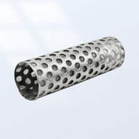 Filtre à baril perforé en acier inoxydable 304 à double couche sur mesure, élément filtrant pour le traitement de l'eau