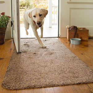 Tapis de porte super absorbant, lavable, antidérapant, pour les entrées, tapis anti-saleté, grattoir à chaussures avec dos en PVC - Product Image 1