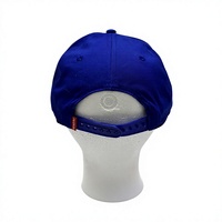 Casquette de baseball en coton 100% avec broderie de logo personnalisé, multicolores, fermeture à boucle métallique réglable, unisexe, adulte, toutes saisons