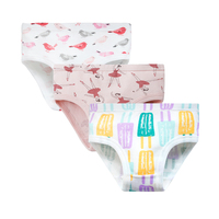 3-13y Mädchen Unterwäsche Custom ized Soft Young Girls Unterwäsche Großhandel/ODM/OEM