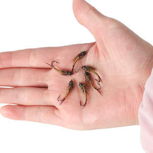 Tête de perle en laiton Stonefly Nymph <span class=keywords><strong>fil</strong></span> de cuivre coulant rapide mouche de nymphe humide réaliste <span class=keywords><strong>pour</strong></span> la pêche à la <span class=keywords><strong>truite</strong></span> leurres appâts - Product Image 6
