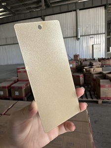 Metálico Champán Cromo Amarillo Rosa Oro Poliéster Termoendurecible Pintura en polvo Pintura en aerosol a base de epoxi para barco - Product Image 2