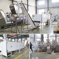 Grande Machine de Fabrication de Pâtes Chinoises Macaroni Spaghetti pour Ligne de Production de 1000kg