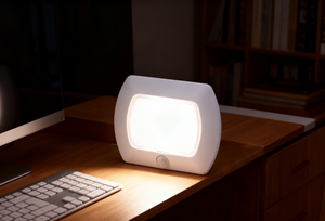 Mini <b>Rechargeable</b> LED Motion Sensor Night Light Bedroom <b>Bedside</b> <b>Lamp</b> Baby Room Hallway Home Decor Wall Socket LED Night Lights - Product Image 5