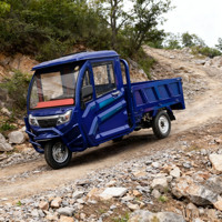 Offre Spéciale Tricycle électrique multifonctionnel Véhicule de transport agricole à trois roues pour passagers et marchandises 3