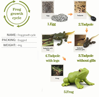 Juguetes Educativos para el Aprendizaje del Ciclo de Vida, Juguetes Montessori, Figuras de Rana, Mariposa, Mariquita, Kit de Plantas, Regalo para Niña y Niño