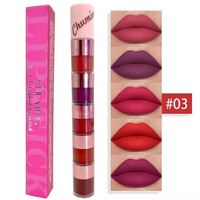 Set de 5 Labiales Mate, Brillo Labial Rojo Terciopelo, Antiadherente, Mineral, Combo de Belleza Labial
