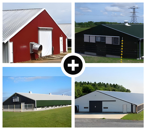 Gia cầm nhà ở Kết Cấu Thép tòa nhà cho chăn nuôi gia cầm - Product Image 6