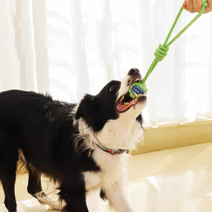 Jouet pour chien en corde de haute qualité aux couleurs vives, tressé, interactif, pour mâcher et tirer, pour l'entraînement et les jeux d'intérieur des animaux de compagnie - Product Image 3