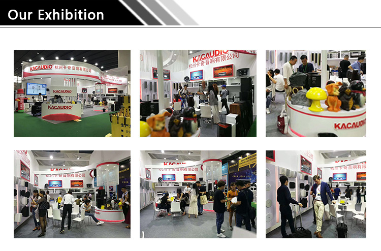 digital echo karaoke mixer