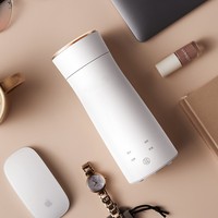 Bouilloire Électrique de Voyage Portable Mini Chauffe-Eau 4 Réglages de Température Acier Inoxydable 304 Capacité 320ml Maison et Voiture