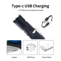 Mini lampe torche multifonction rechargeable par USB 500LM, étanche, en aluminium, LED avec lumière du jour 5000K, utilisation d'urgence, portable