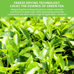 ผงชาเขียวมัทฉะบริสุทธิ์จากโรงงานมาตรฐาน ISO ออร์แกนิค เกรดสำหรับทำอาหาร จำหน่ายเป็นกิโลกรัม - Product Image 3