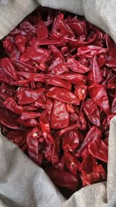 سعر تصدير كبير فلفل أحمر جاف كبير للسوق الماليزي - Product Image 4