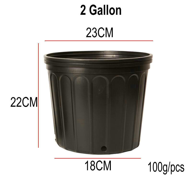 2 gallon