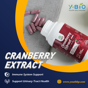 Cranberry-<span class=keywords><strong>extract</strong></span> <span class=keywords><strong>capsules</strong></span> neutraliseren vrije radicalen voor personen die zorgen hebben om de gezondheid van de urinewegen, vegetarische <span class=keywords><strong>capsules</strong></span> ODM - Product Image 3