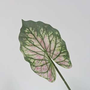 Vegetación artificial a granel para floristas con planta de aire de bambú de la suerte de helecho espárrago y <span class=keywords><strong>plantas</strong></span> verdes realistas de hoja de Alocasia - Product Image 3