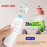 Interrupteur intelligent Ewelink WiFi compatible Google Home et Alexa, relais de contact sec 2 canaux AC110V 220V, télécommande sans fil pour éclairage et ventilateur
