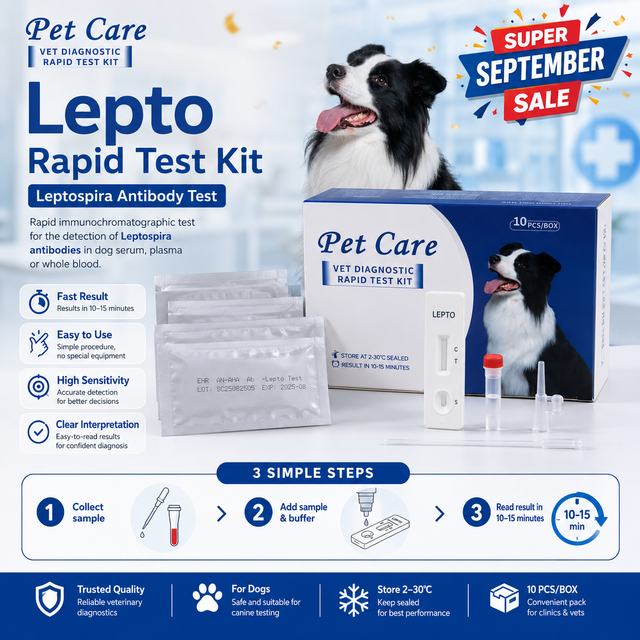 Super September Pet Care Leptospira Antibody Test Lepto Veterinary Rapid Test Kit