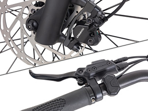 Bicicletta Elettrica Smart Ananda con Motore Centrale, Batteria 36V15Ah, Ricarica Rapida in 3 Ore, Freno a Disco Idraulico, 9 Velocità, Disponibile in Stock UE - Product Image 6