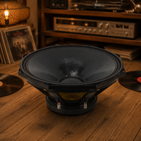 Haut-parleur professionnel de la série PJ, 12 pouces, 15 pouces, 8 ohms, 800 W, 900 W, woofer
