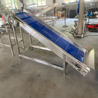 High-Speed Automatische Formaatmachine Voor Fruitgroenten Verbeterde Efficiëntie Sorteerapparatuur Voor Mango Appel Andere