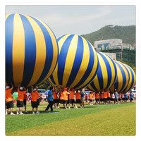 Ballons gonflables géants en PVC pour projets de groupe amusants en extérieur et en intérieur, jeux sportifs de team building pour adultes, utilisation dans les centres commerciaux et les jardins