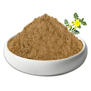 Herbspirit Pure Natural Tribulus Terrestris Extract Saponins Powder