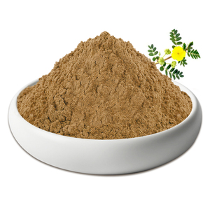 Натуральный экстракт сапонинов tribulus terrestris - Product Image 1