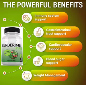 1200mg Berberine HCL capsules voor volwassenen ter ondersteuning van de immuun- en spijsverteringsgezondheid met antioxidatieve eigenschappen - Product Image 6