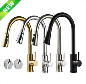 Cold and hot mixer adjustment stainless steel kitchen faucet popular in the market brushed black gold black colorful