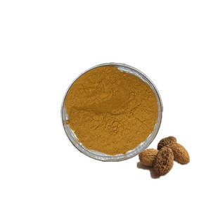 Amomum Villosum Ekstrakt Tozu 10:1 20:1 30:1 Suda Çözünen Amomum Villosum Tozu Sprey Ekstrakt Tozu - Product Image 1