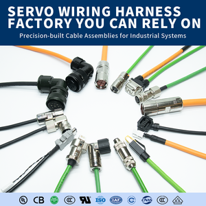 OEM Waterdichte IP67 M20 Connector Kabel 2/12 Pins Rechte/Hoekige Gegoten Stekkerkabels (PVC/PUR) Robotische Sensor Connector Kabel - Product Image 5