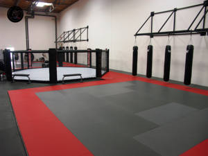 <span class=keywords><strong>Cage</strong></span> d'entraînement <span class=keywords><strong>MMA</strong></span> octogonale de haute qualité en cuir PVC, <span class=keywords><strong>cage</strong></span> d'entraînement <span class=keywords><strong>MMA</strong></span> octogonale professionnelle avec protection d'angle, <span class=keywords><strong>cage</strong></span> d'entraînement <span class=keywords><strong>MMA</strong></span> à vendre - Product Image 5