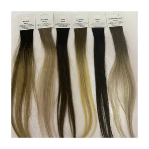 Factory Wholesale Human Hair Extensions Supplier Tag Ring Customized Color Ring Color Swatches with Logo Label