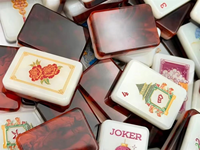 160 pièces – Jeu de société de luxe moderne en acrylique écaille de tortue, motif floral pagode magnétique, pour collection et divertissement en intérieur