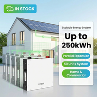 Batterie lithium intelligente DYNESS DL5.0C 6000 cycles, 5 kWh, pour système solaire domestique, 51,2 V 100 Ah, compatible avec l'onduleur Victron.