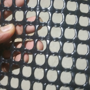 Bền HDPE Lưới Phẳng Cho Hàu Nông Nghiệp Và Vườn Leo Núi Cây Tùy Chỉnh Cắt Nhựa Lưới Lưới - Product Image 4